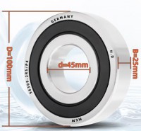 S6309-2RS