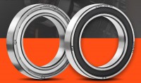 61808-2Z/P4, 61808-2RS/P4