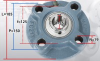 UCFC211